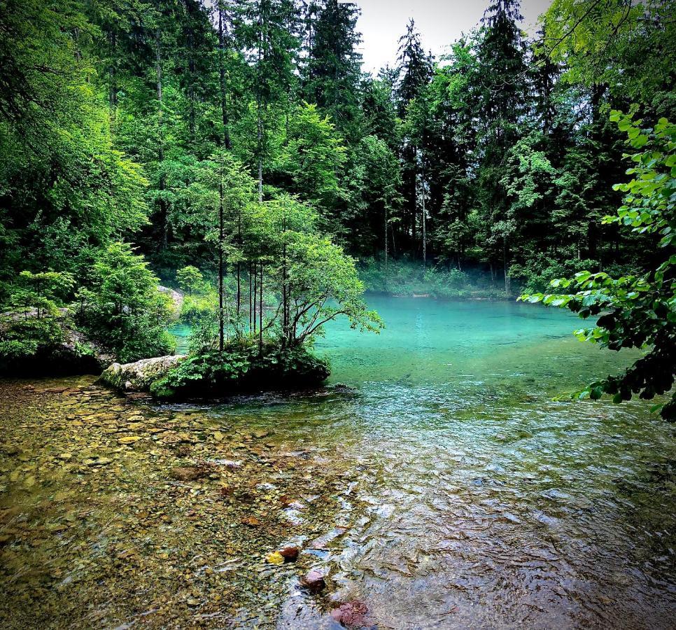 Skalca Villa Kamniska Bistrica Luaran gambar
