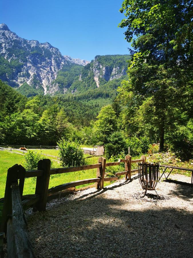 Skalca Villa Kamniska Bistrica Luaran gambar